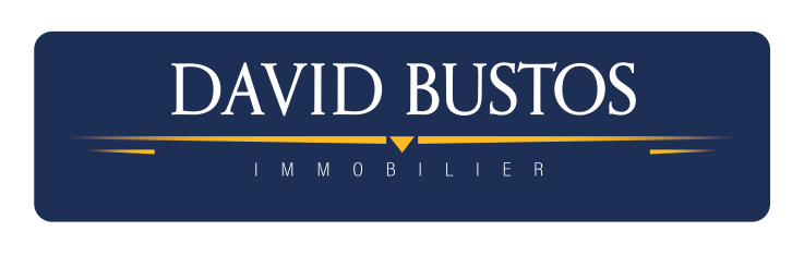 logo-david-bustos-fd-bleu-CMJN.jpg